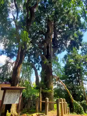 川辺八幡神社(福島県)