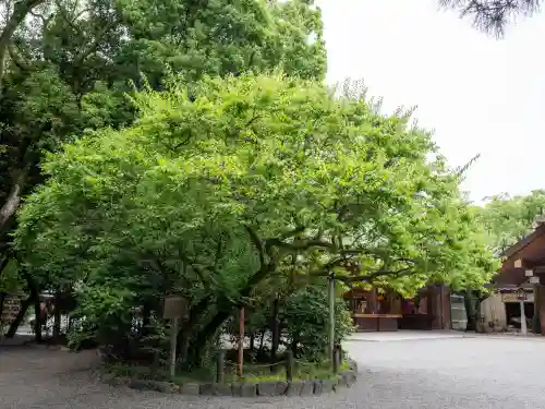 熱田神宮(愛知県)