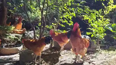 長楽寺(愛知県)