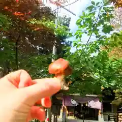 彌彦神社　(伊夜日子神社)(北海道)