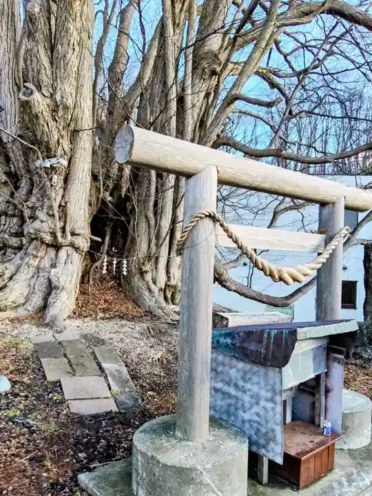 黄金龍神社(桂不動)(北海道)