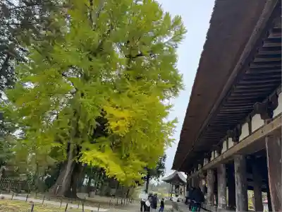 新宮熊野神社(福島県)
