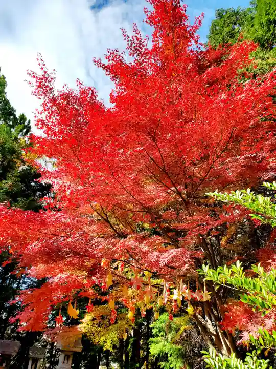 滑川神社 - 仕事と子どもの守り神の自然
