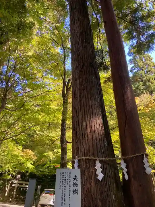 大矢田神社(岐阜県)