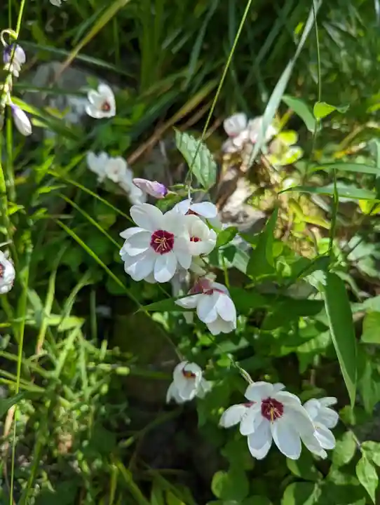惠心院(京都府)