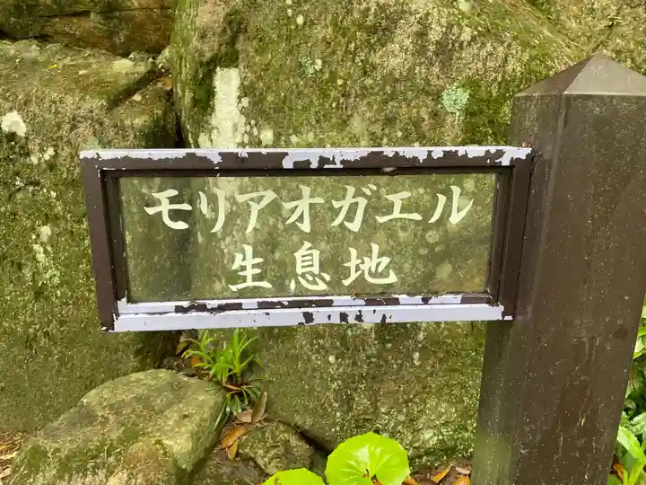 柳谷観音 楊谷寺(京都府)