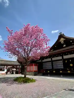東寺（教王護国寺）(京都府)