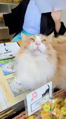 駒込妙義神社の動物