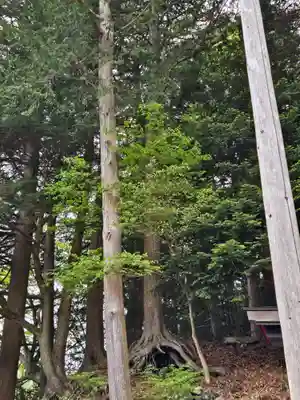 薬明神社(山梨県)