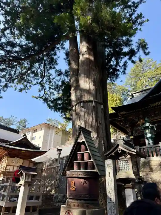 三峯神社の{uncategorized: "未分類", other: "その他", undefined: "問題あり", building: "その他建物", grave: "お墓", sacred_gate: "鳥居", guardian: "狛犬", statue: "像", buddha: "仏像", history: "歴史", nature: "自然", garden: "庭園", animal: "動物", pagoda: "塔", temizu: "手水舎", mountain_gate: "山門・神門", sanctuary: "本殿・本堂", subordinate: "末社・摂社", art: "芸術", scenery: "景色", jizo: "地蔵", ema: "絵馬", goshuin: "御朱印", omikuji: "おみくじ", items: "授与品その他", amulet: "お守り", goshuincho: "御朱印帳", eats: "食事", festival: "お祭り", votive_dance: "神楽", shichigosan: "七五三参", wedding: "結婚式", experience: "体験その他", initially: "初詣", around: "周辺", anti_infection: "感染症対策"}