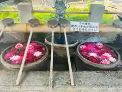 津島神社(愛知県)