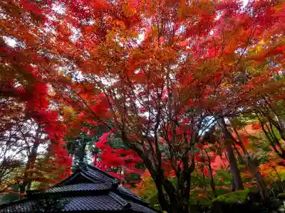 教林坊(滋賀県)