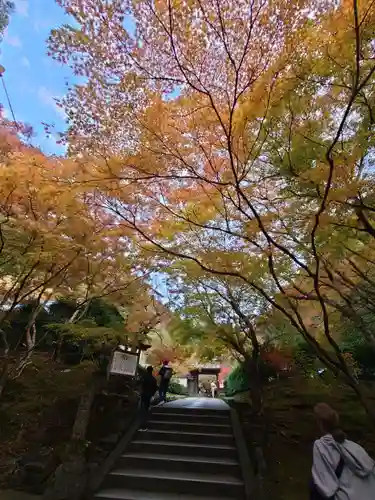 高徳庵　(最勝院）(京都府)