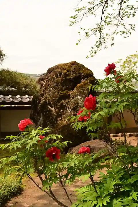 圓融寺(埼玉県)