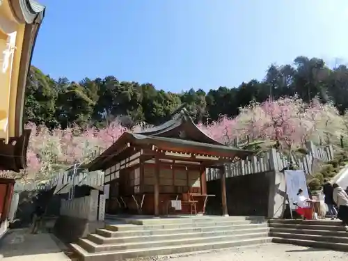大縣神社の本殿・本堂