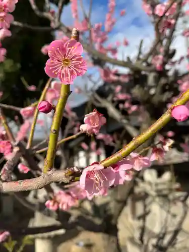 天満宮(京都府)