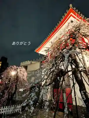 成願寺(東京都)