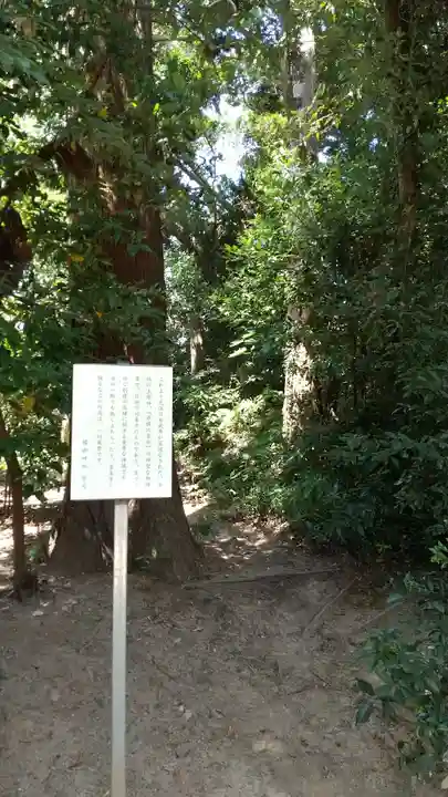橘樹神社の自然