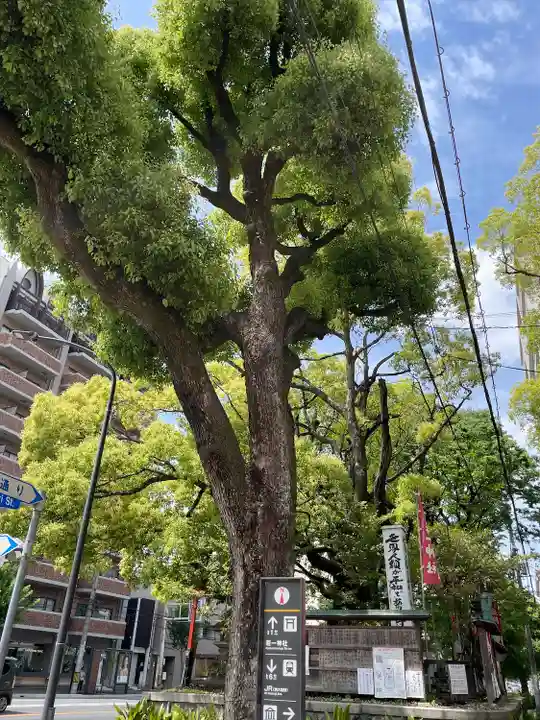 若一神社の自然