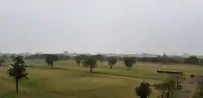 神明神社の景色