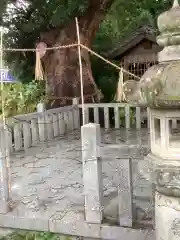 大社神社の自然