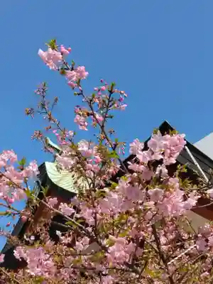 東神奈川熊野神社(神奈川県)