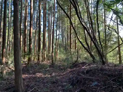 熊野神社の自然