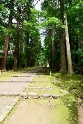 平泉寺白山神社(福井県)
