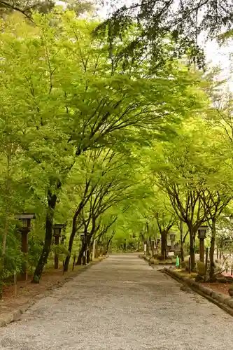 身曾岐神社(山梨県)