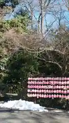 櫻木神社の建物その他