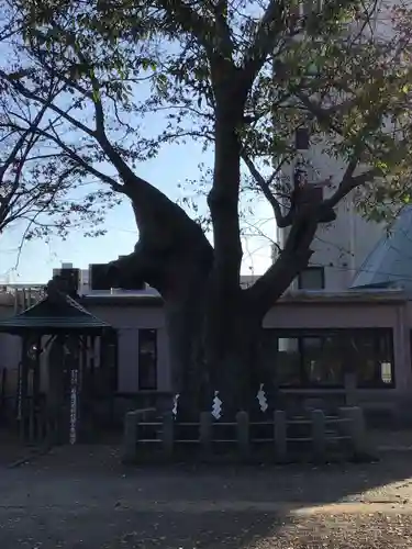 阿邪訶根神社の庭園