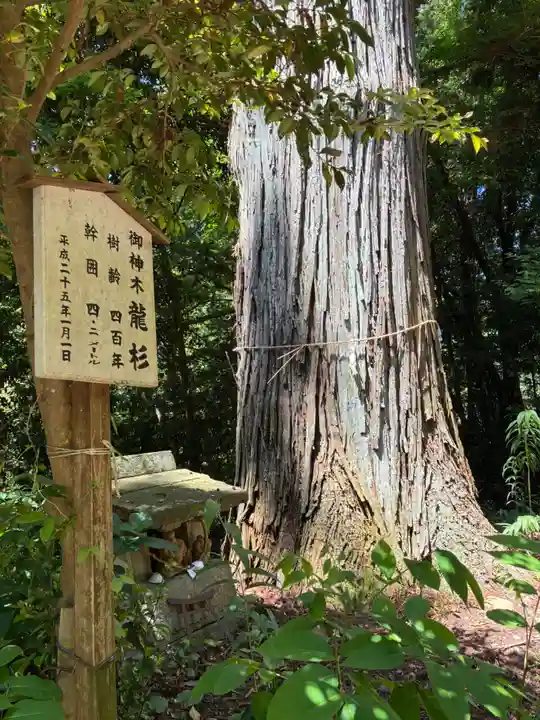 八龍神社(茨城県)