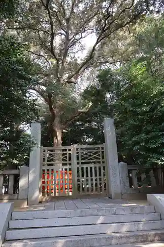 古宮 (神木『香推』)(福岡県)