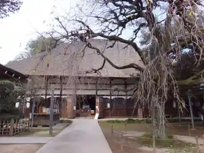 茂林寺の本殿・本堂