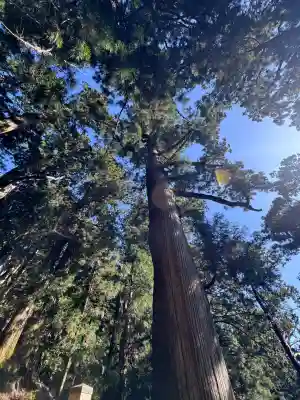 玉置神社(奈良県)