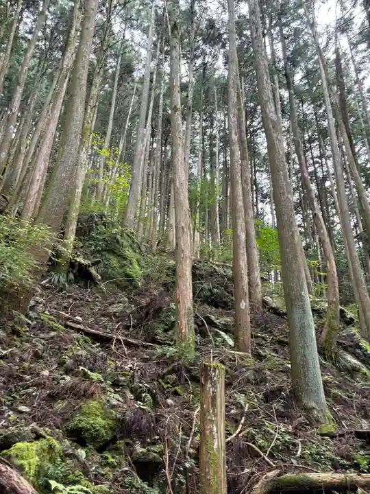 聖神社(高知県)