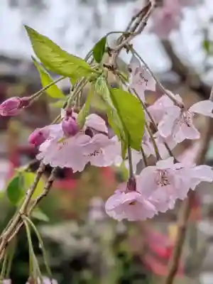 成子天神社(東京都)