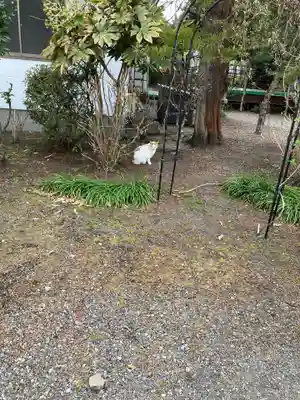 今市報徳二宮神社(栃木県)