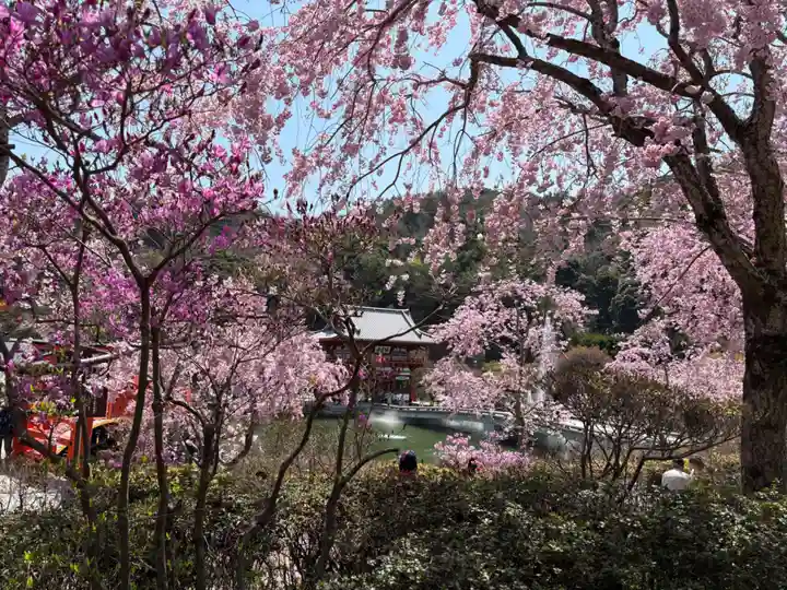 勝尾寺(大阪府)