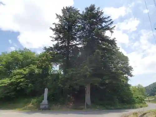 長岡神社・八幡神社・天御布須麻神社の自然