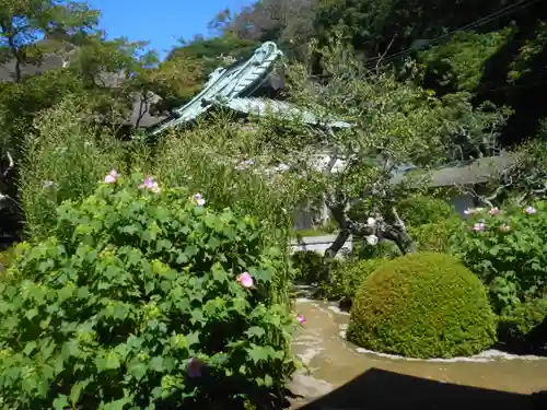 海蔵寺の庭園