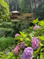 岩船寺(京都府)