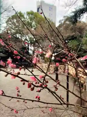 乃木神社(東京都)