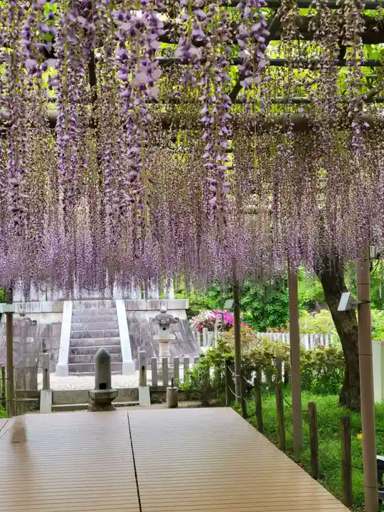 曼陀羅寺の庭園