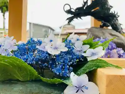 總社 和田八幡宮の手水舎