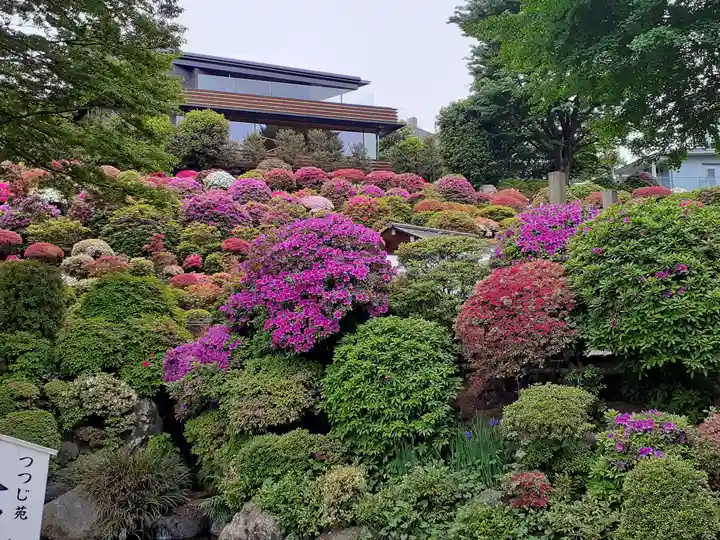 根津神社の自然