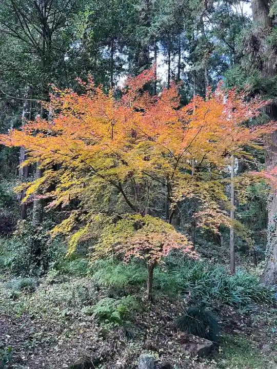 大宮温泉神社(栃木県)
