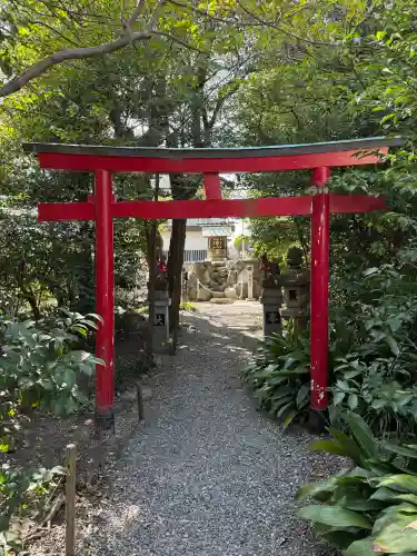 玉三稲荷神社の{uncategorized: "未分類", other: "その他", undefined: "問題あり", building: "その他建物", grave: "お墓", sacred_gate: "鳥居", guardian: "狛犬", statue: "像", buddha: "仏像", history: "歴史", nature: "自然", garden: "庭園", animal: "動物", pagoda: "塔", temizu: "手水舎", mountain_gate: "山門・神門", sanctuary: "本殿・本堂", subordinate: "末社・摂社", art: "芸術", scenery: "景色", jizo: "地蔵", ema: "絵馬", goshuin: "御朱印", omikuji: "おみくじ", items: "授与品その他", amulet: "お守り", goshuincho: "御朱印帳", eats: "食事", festival: "お祭り", votive_dance: "神楽", shichigosan: "七五三参", wedding: "結婚式", experience: "体験その他", initially: "初詣", around: "周辺", anti_infection: "感染症対策"}