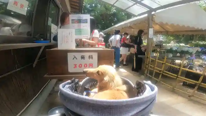 筥崎宮(福岡県)