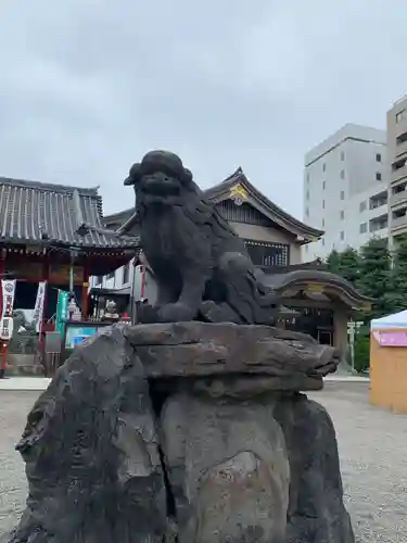 浅草神社の狛犬
